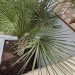 MVIMG_20260429_140943 thumbnail